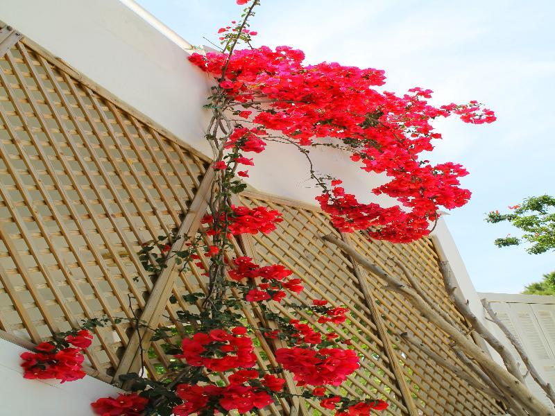 Melody Studios Faliraki Exterior photo